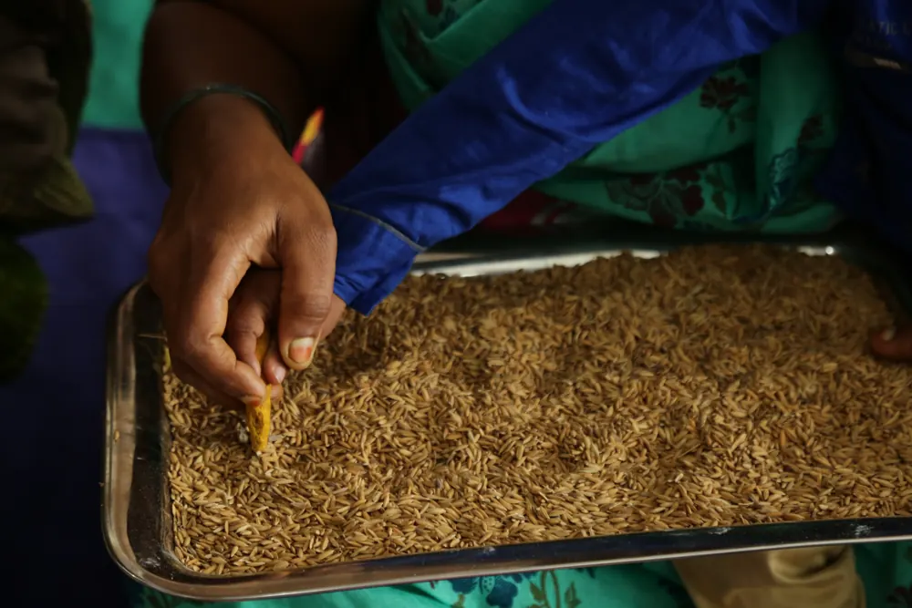 Close-up of a child’s hand writing in a tray of rice